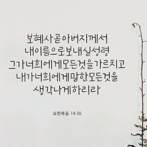 0778ac86ccab723be2e1a2d28bc084ea_1737109413_6183.jpg 0778ac86ccab723be2e1a2d28bc084ea_1737109413_6183.jpg