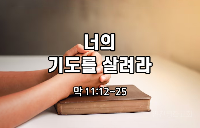 a75b5bc36ad7cc5156e0d909baba8967_1738918513_88.jpg a75b5bc36ad7cc5156e0d909baba8967_1738918513_88.jpg